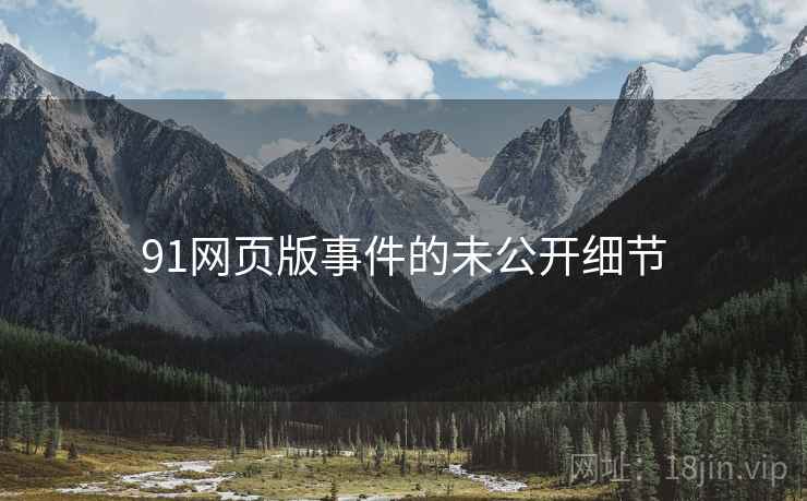 91网页版事件的未公开细节