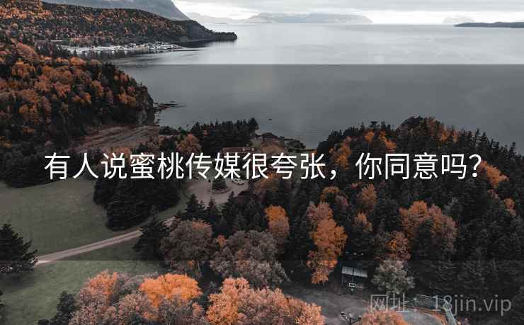 有人说蜜桃传媒很夸张，你同意吗？