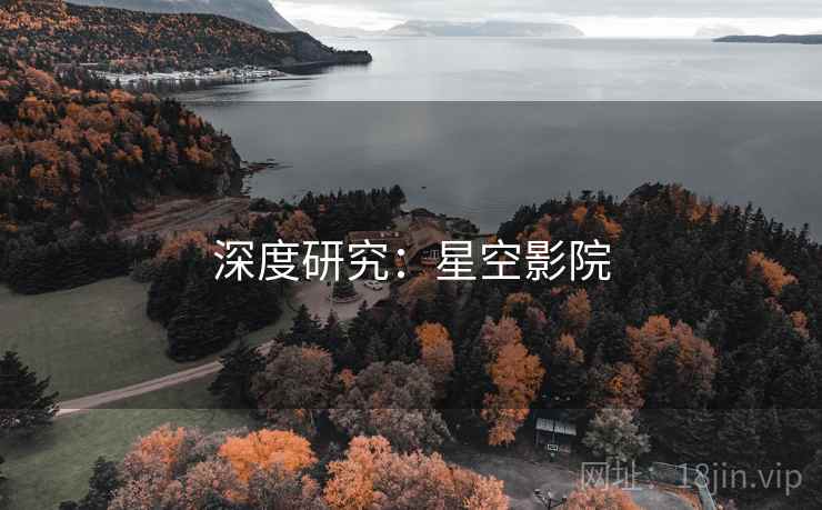 深度研究：星空影院