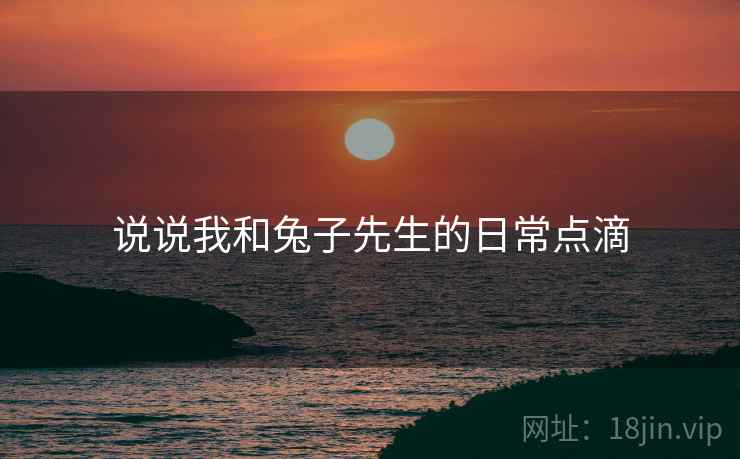 说说我和兔子先生的日常点滴