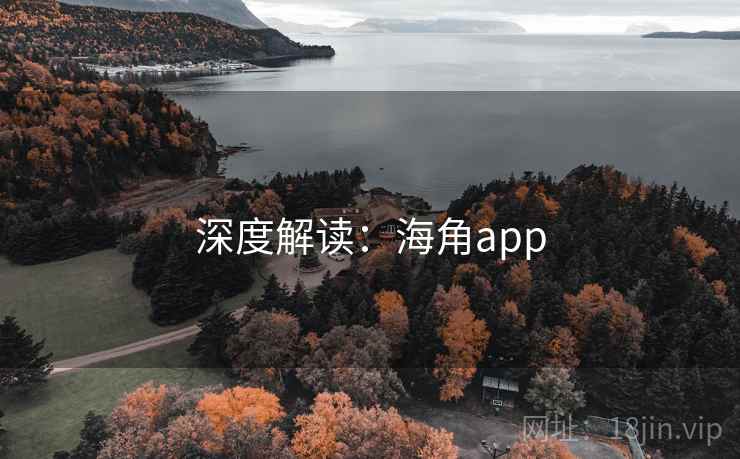 深度解读：海角app