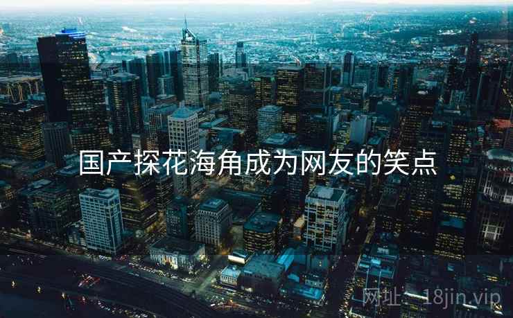 国产探花海角成为网友的笑点