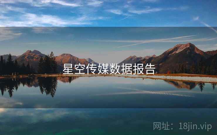 星空传媒数据报告