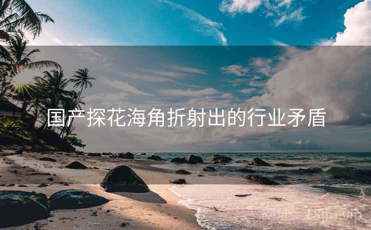 国产探花海角折射出的行业矛盾