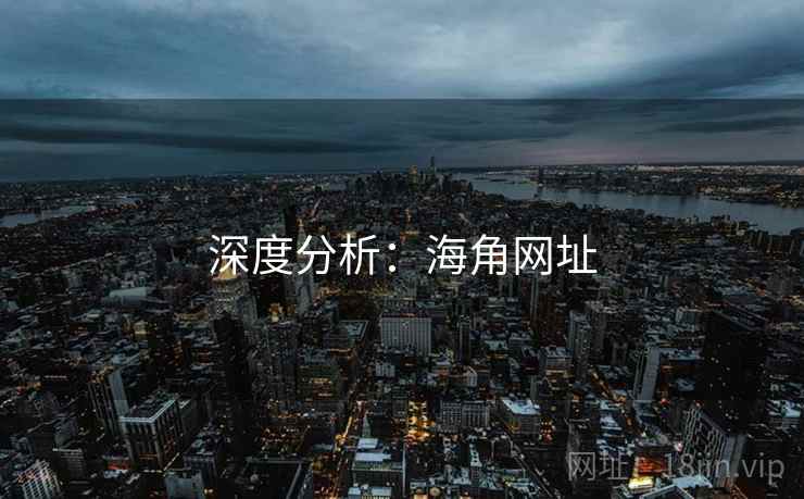 深度分析：海角网址