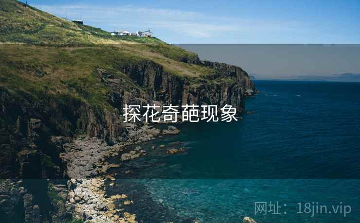 探花奇葩现象