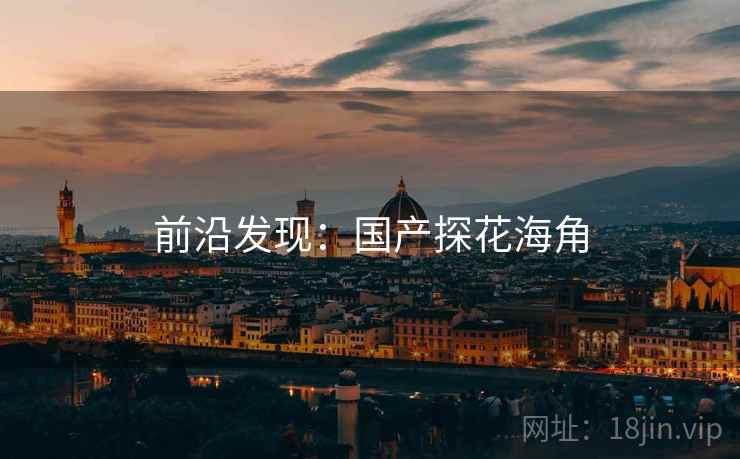 前沿发现：国产探花海角