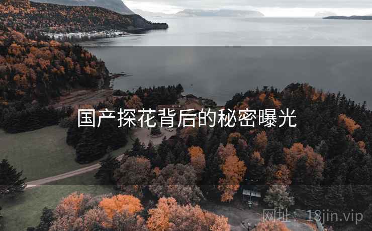 国产探花背后的秘密曝光