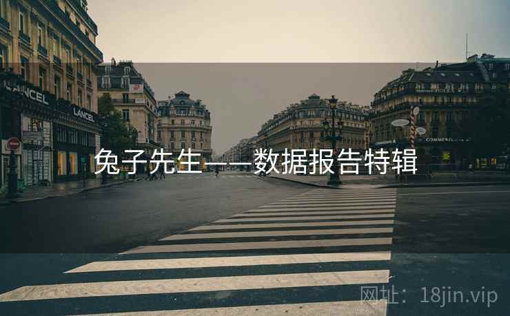 兔子先生——数据报告特辑