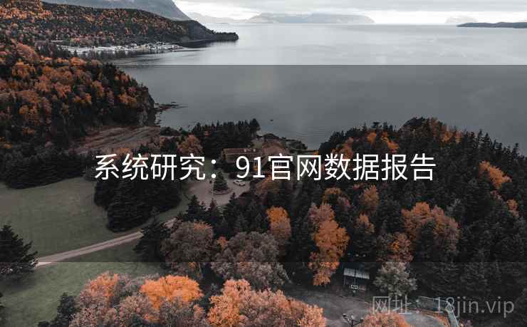 系统研究：91官网数据报告