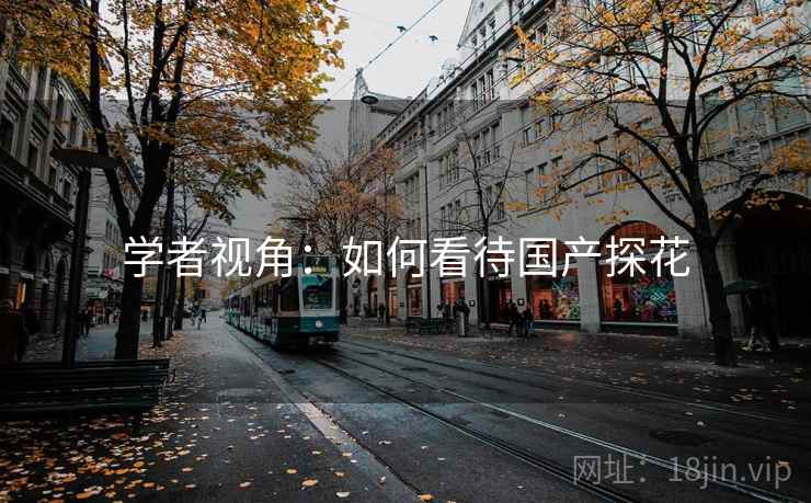 学者视角：如何看待国产探花