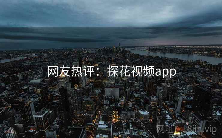 网友热评：探花视频app