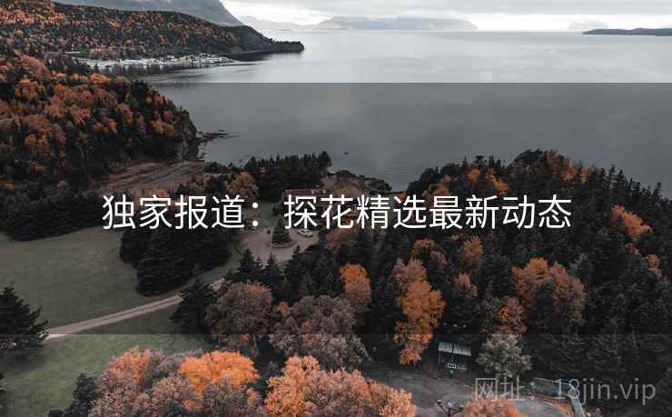 独家报道：探花精选最新动态