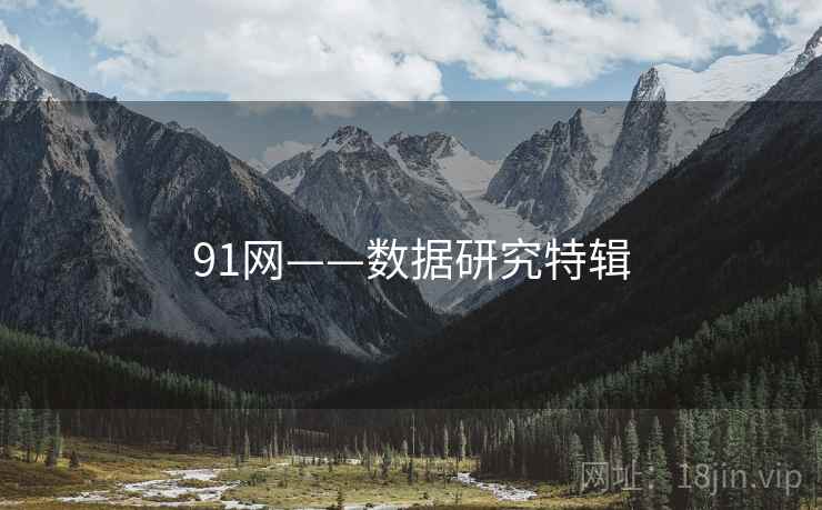 91网——数据研究特辑