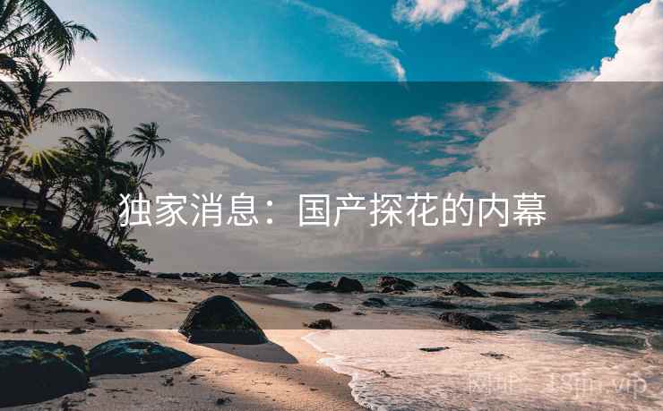 独家消息：国产探花的内幕