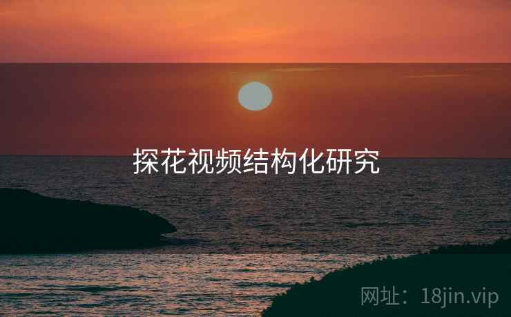 探花视频结构化研究