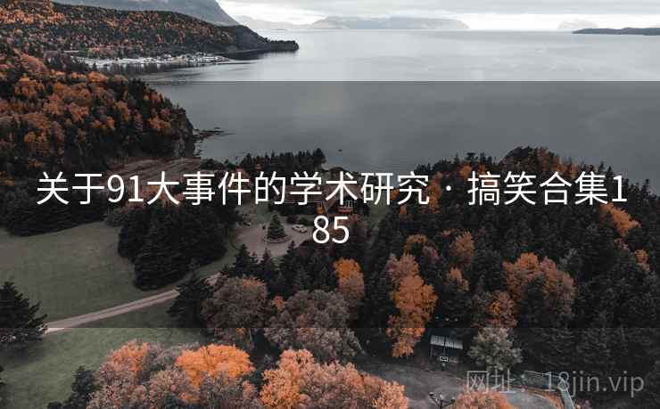 关于91大事件的学术研究 · 搞笑合集185